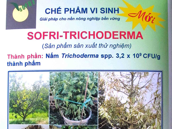 Chế phẩm vi sinh SOFRI - Trichoderma