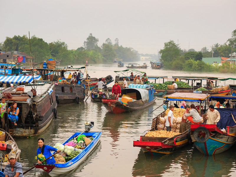 Các khu vực tư nhân tại các nền kinh tế ASEAN đang chuẩn bị thiết lập tiêu chuẩn hữu cơ để giảm chi phí sản xuất và cải thiện quản lý chuỗi cung ứng