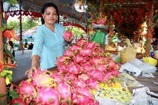 Tập trung phát triển cây ăn trái VietGAP