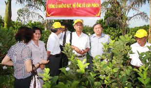 Nhân rộng mô hình nông nghiệp đô thị
