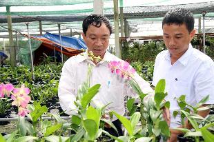 Hội nghị CNSH khu vực phía Nam: Nhiều đề tài tính ứng dụng cao