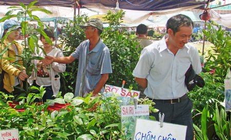 Sản xuất trái cây theo “tín hiệu” thị trường