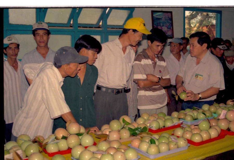 Giải pháp khôi phục và phát triển cây vú sữa Lò Rèn Vĩnh Kim