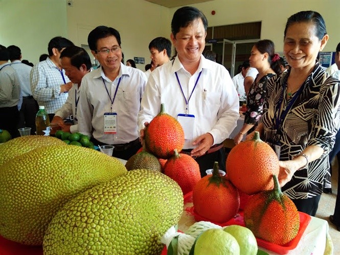 Một số quy trình kỹ thuật mới trên cây trồng ứng phó với biến đổi khí hậu