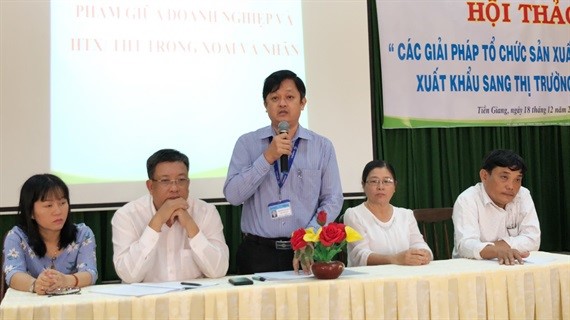 Cùng tìm giải pháp tổ chức sản xuất, xuất khẩu xoài, nhãn sang thị trường khó tính