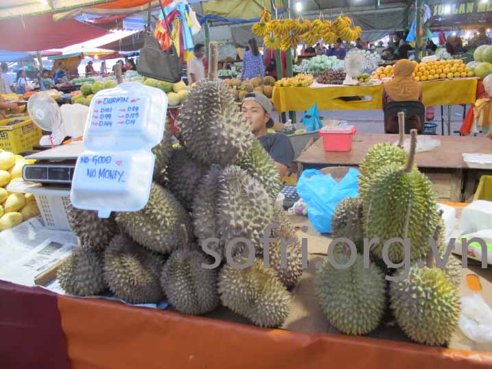 Nhu cầu trái cây tại Trung Quốc tăng nhanh