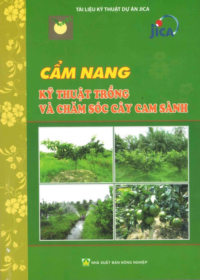 Cẩm nang Kỹ thuật trồng và chăm sóc cây cam sành