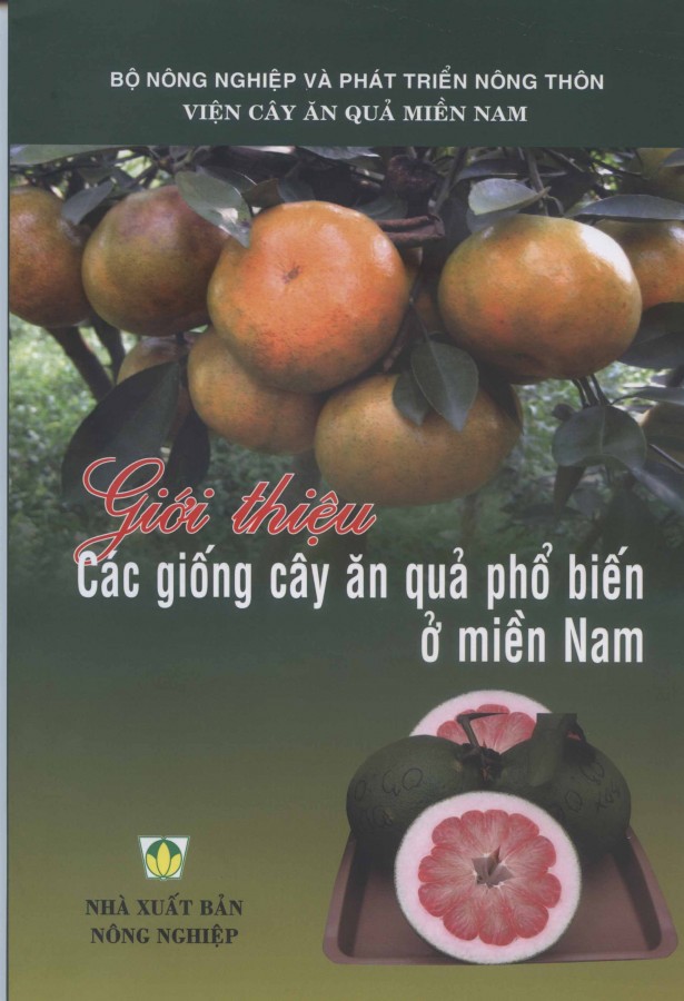 Giới thiệu Các cây giống cây ăn quả phổ biến ở miền Nam