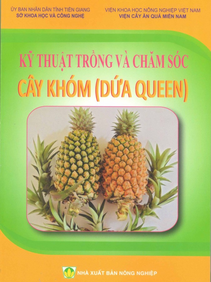 Kỹ thuật trồng và chăm sóc cây khóm (Dứa Queen)