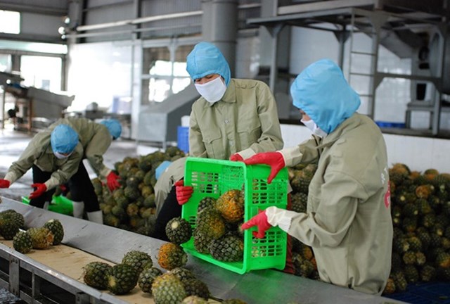 FDA - Thái Lan đã ban hành các quy định điều chỉnh việc giám sát dư lượng thuốc bảo vệ thực vật