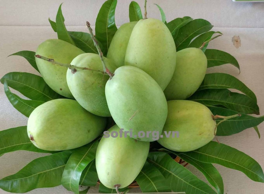 Cách chọn lựa một số trái cây ngon