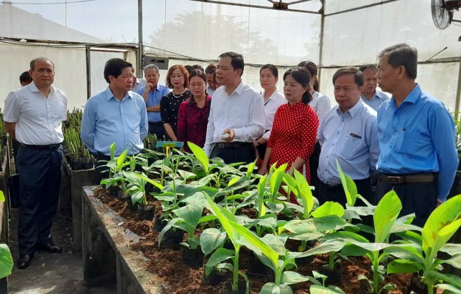 Bộ trưởng Nguyễn Xuân Cường làm việc tại Viện Cây ăn quả miền Nam