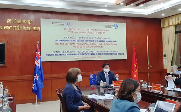 Thứ trưởng Lê Quốc Doanh tại cuộc họp trực tuyến Đối thoại Cấp cao về nông nghiệp lần thứ I giữa Việt Nam và Niu Di-lân (Ảnh:MARD)