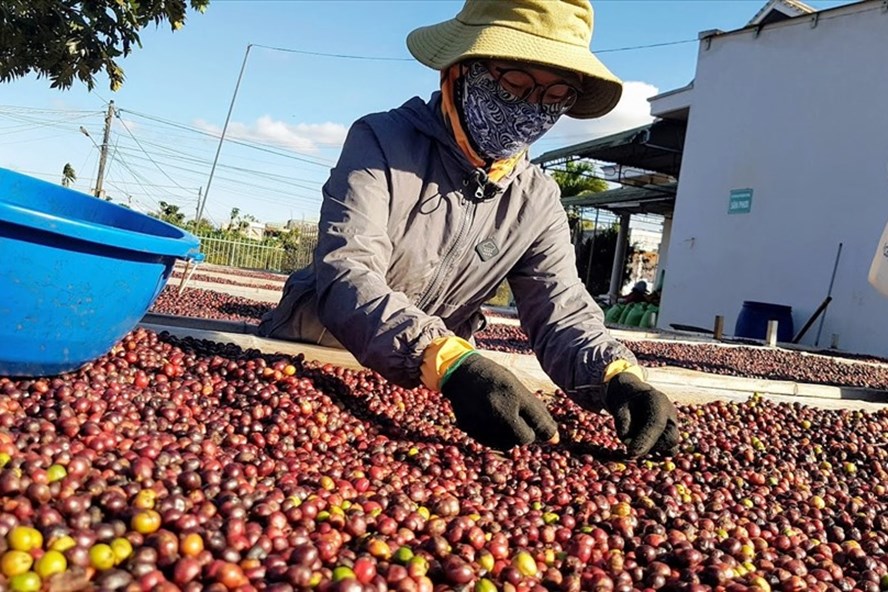 Châu Âu mở cửa, cơ hội cho nông sản Việt Nam