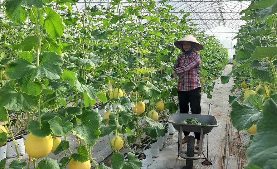 ''CHÌA KHÓA'' CỦA NỀN NÔNG NGHIỆP HIỆN ĐẠI