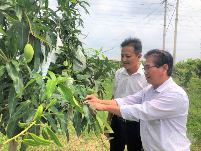 SOFRI và trọng trách tạo đột phá vùng trái cây miền Tây