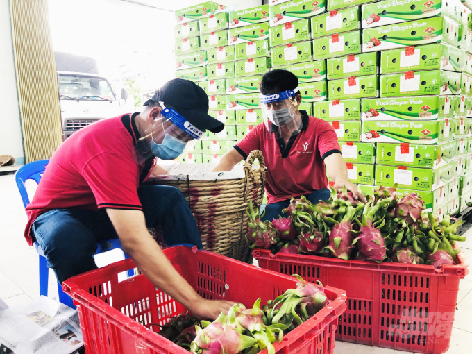 Cẩn trọng nguy cơ trái cây xuất sang Trung Quốc bị 'tuýt còi'