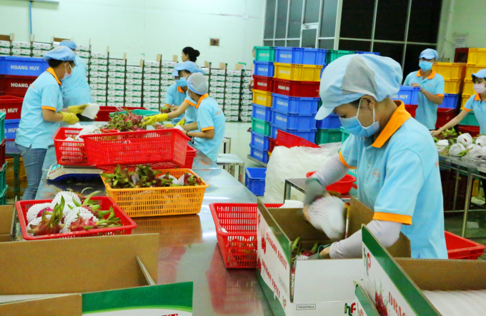 Giải pháp sản xuất, tiêu thụ nông sản thích ứng đại dịch