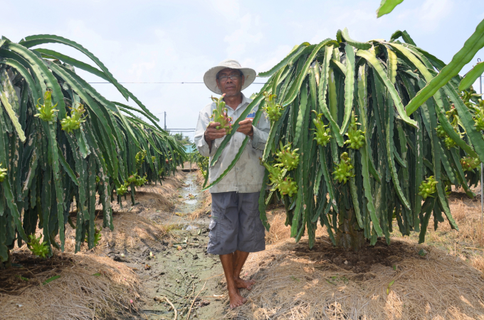 Doanh nghiệp xuất khẩu trái cây có nguy cơ mất khách hàng