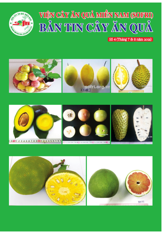 BẢN TIN CÂY ĂN QUẢ SỐ 4 (Tháng 7-8/2021)
