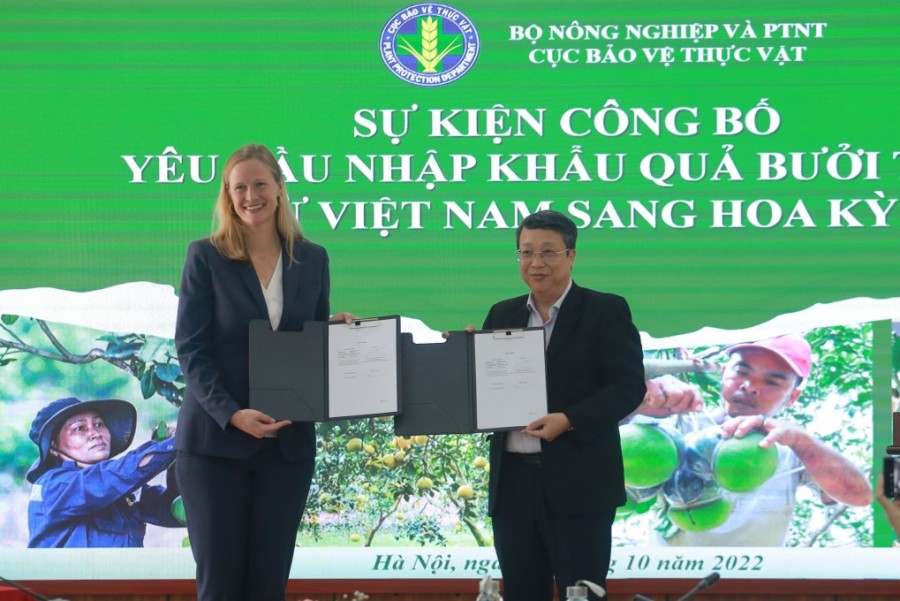 Quả bưởi tươi Việt Nam chính thức được xuất khẩu sang Mỹ