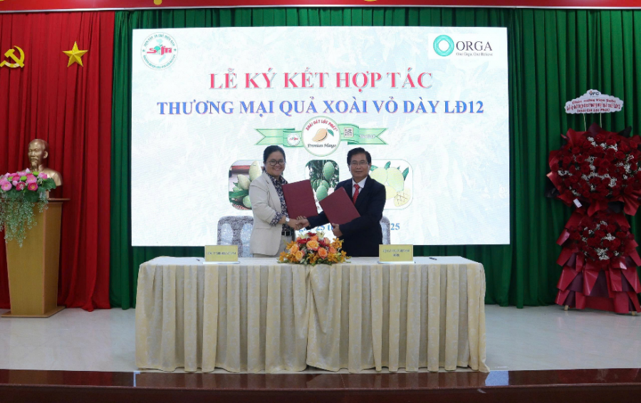 Viện Cây ăn quả miền Nam ký kết hợp tác thương mại giống xoài vỏ dày LĐ12 (Xoài Cát Lộc Phát)