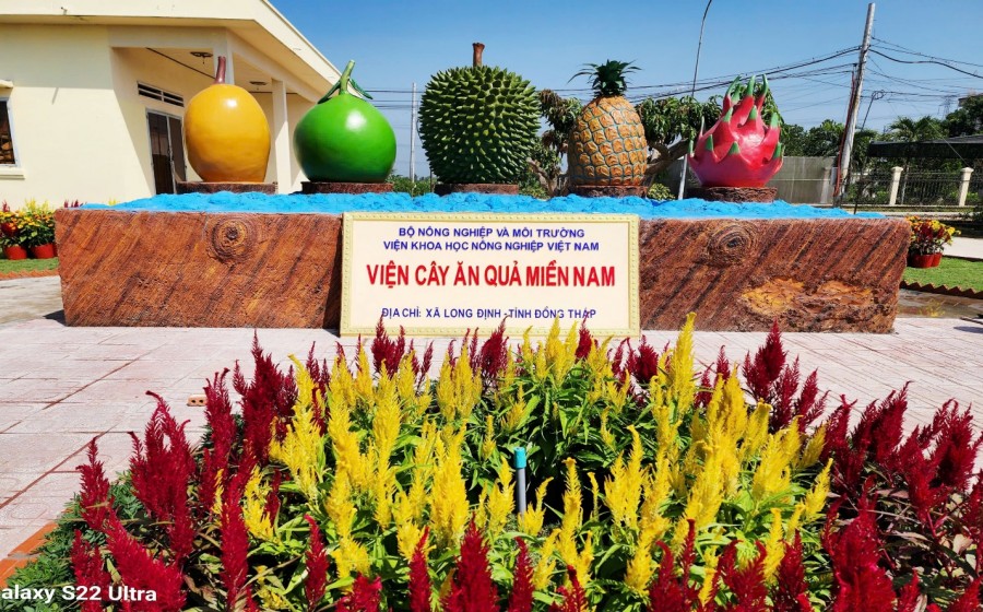Mô hình biểu tượng trái cây  Điểm nhấn khoa học, giáo dục và truyền thông tại Viện Cây ăn quả miền Nam
