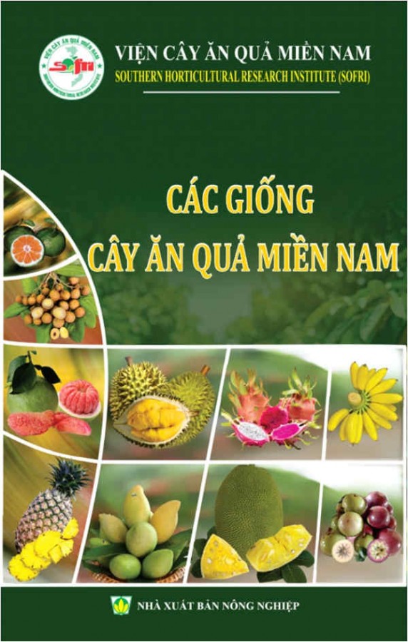 CÁC GIỐNG CÂY ĂN QUẢ MIỀN NAM