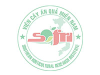 Quy trình kỹ thuật thâm canh tổng hợp cây sầu riêng cho các tỉnh Nam Bộ