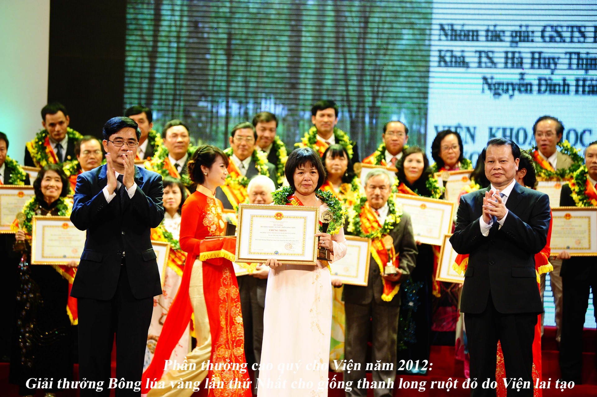 Giống Thanh long ruột đỏ Long Định được tặng giải thưởng Bông lúa vàng lần thứ Nhất - 2012