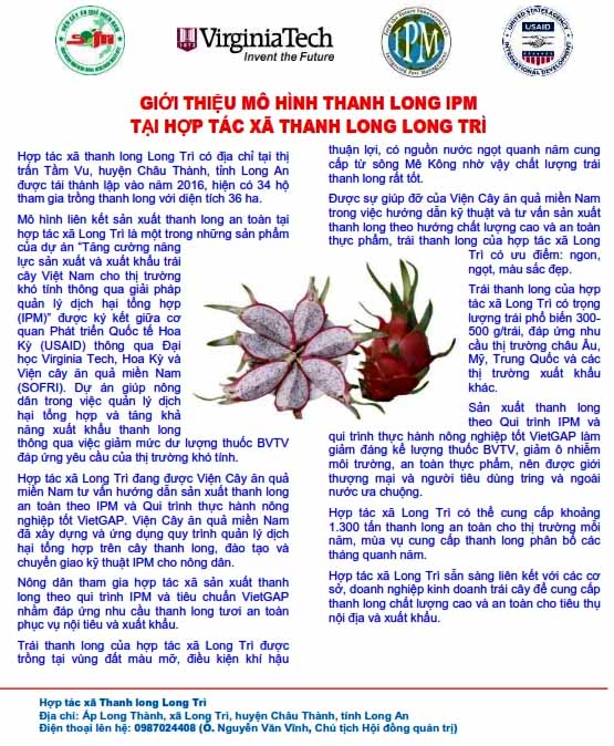 brochure thanh long long tri dang website 0012
