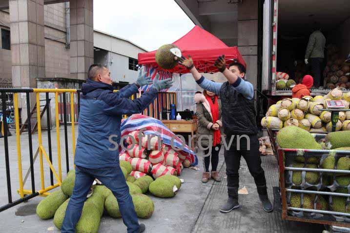 Chợ trái cây Gia Hưng tại Chiết Giang, Trung Quốc  Trung tâm thương mại lớn chuyên biệt tiêu thụ mít